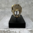 Crocodile on stand Polished Bronze - S