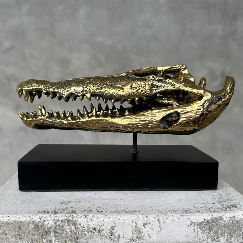 Crocodile on stand Polished Bronze - S