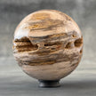 Sphere Stone Petrified Wood - Min,A/009