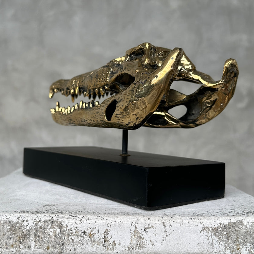 Crocodile on stand Polished Bronze - S