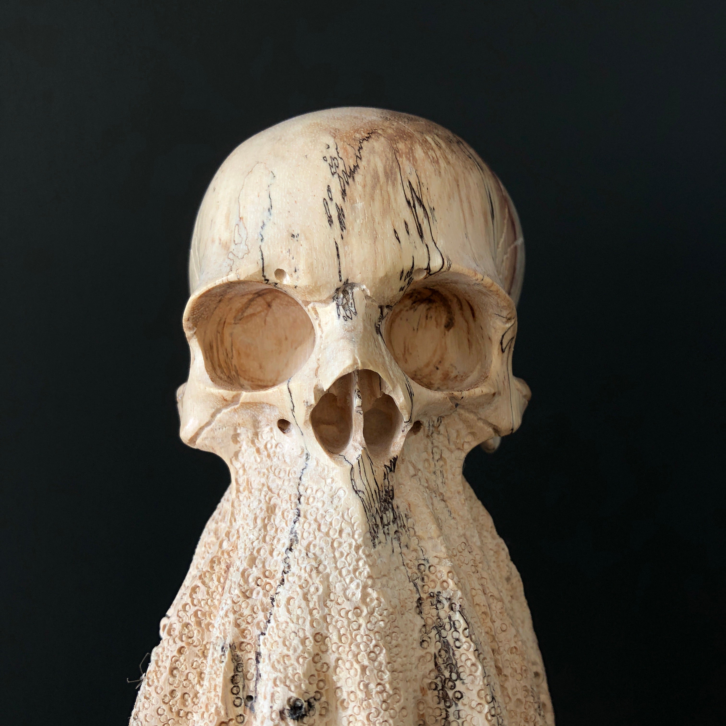 Tamarind Wood Skull with Carved Tentacles - 7G/110