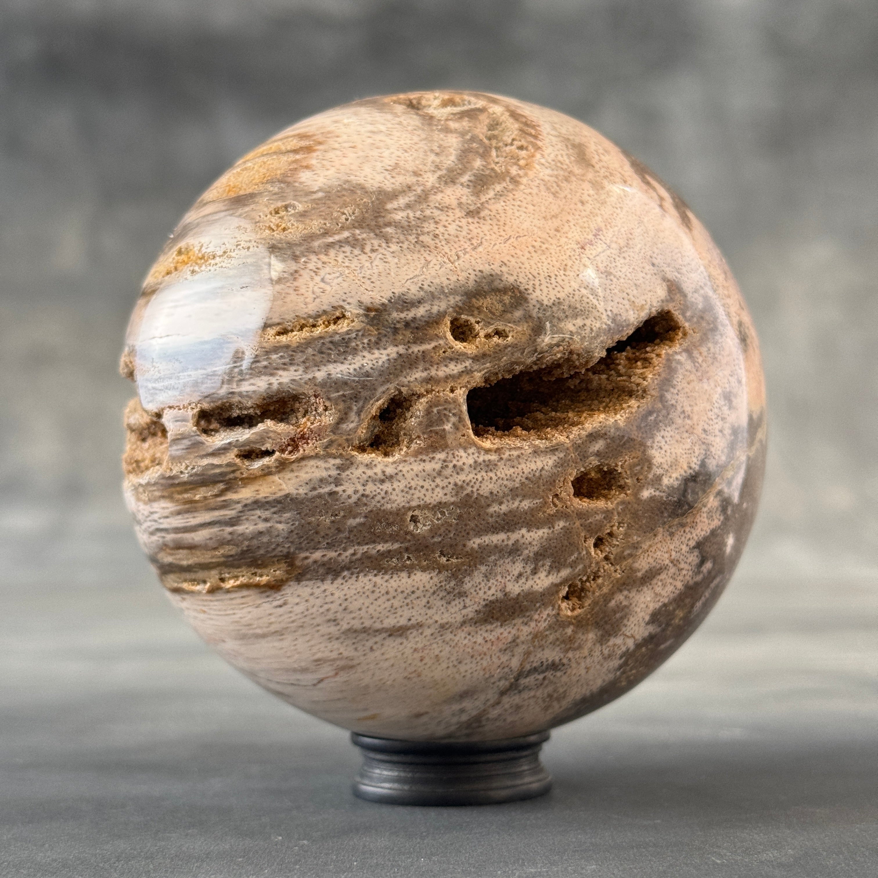 Sphere Stone Petrified Wood - Min,A/009