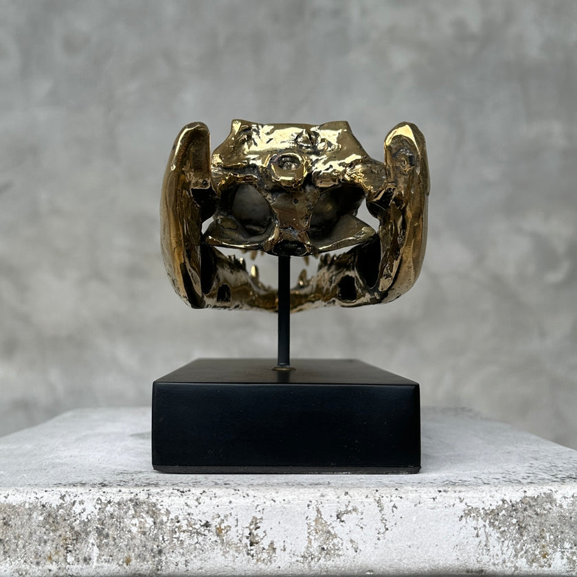Crocodile on stand Polished Bronze - S