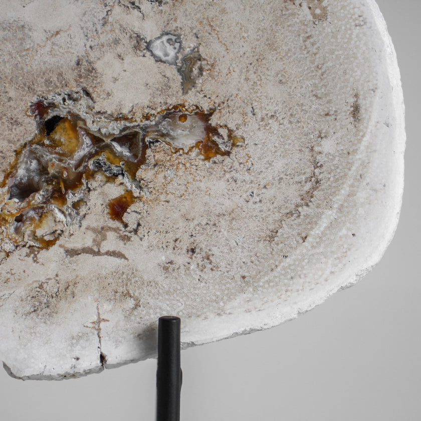 A Beautiful Slice of Petrified Palm Root on stand  PetW/055