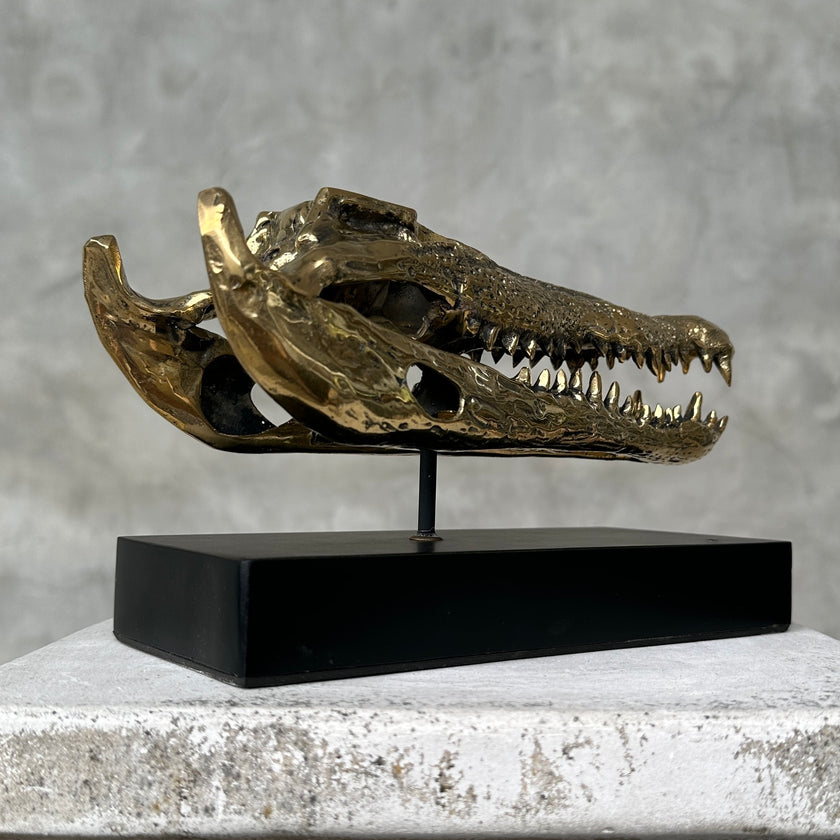 Crocodile on stand Polished Bronze - S