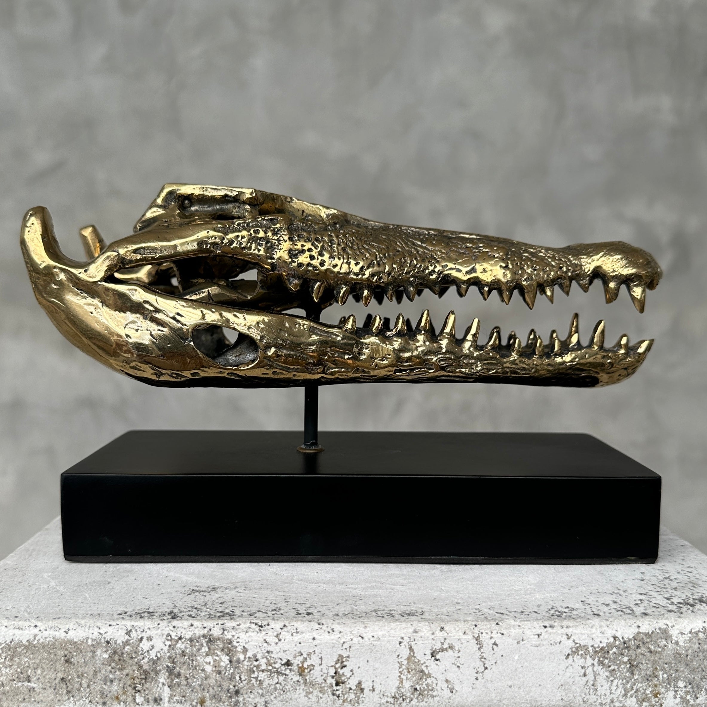 Crocodile on stand Polished Bronze - S