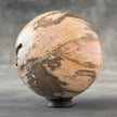 Sphere Stone Petrified Wood - Min,A/009