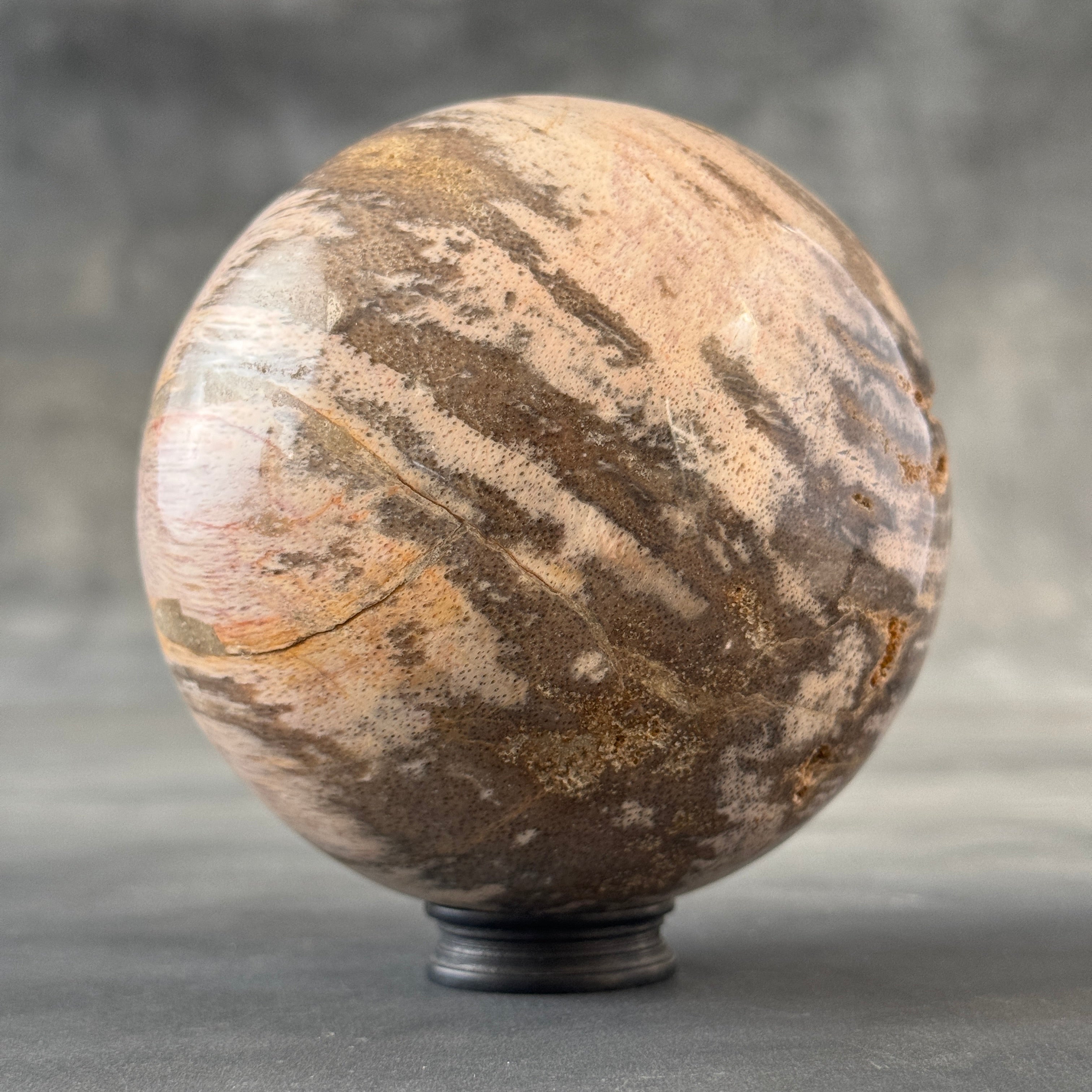 Sphere Stone Petrified Wood - Min,A/009