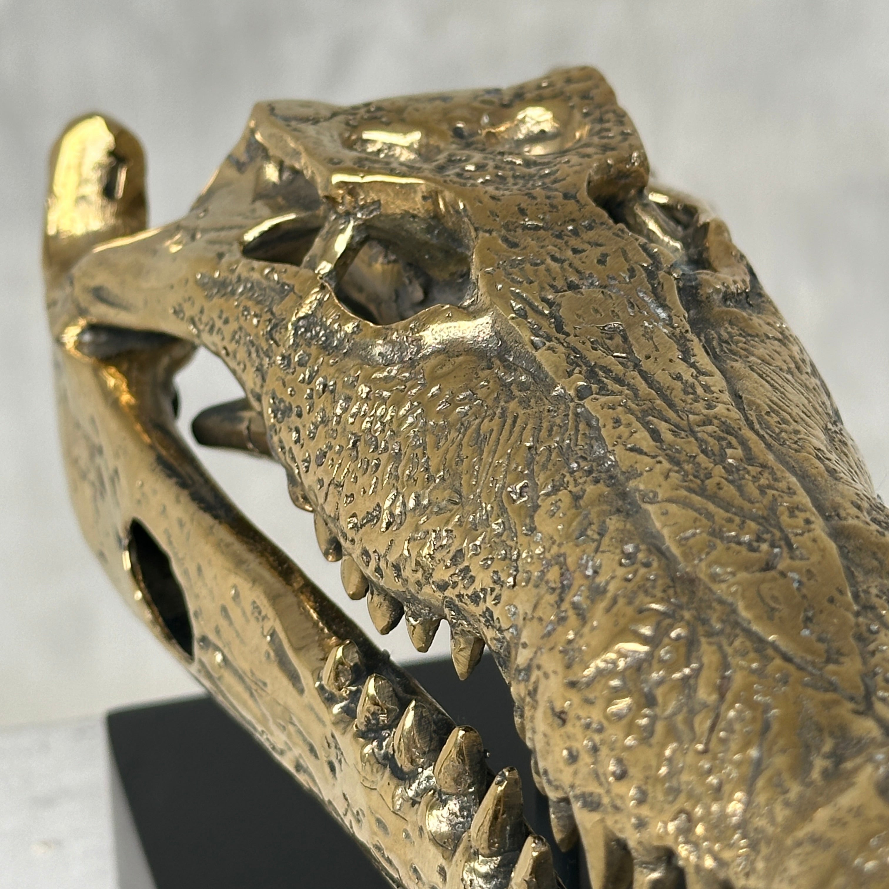 Crocodile on stand Polished Bronze - S