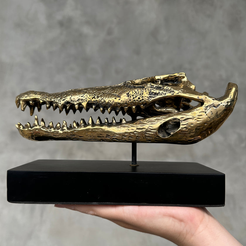 Crocodile on stand Polished Bronze - S