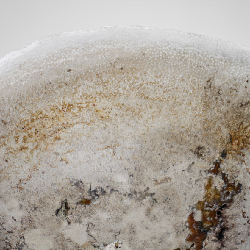 A Beautiful Slice of Petrified Palm Root on stand  PetW/055