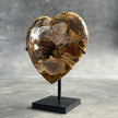 Heart Stone L Petrified wood carving E2/225