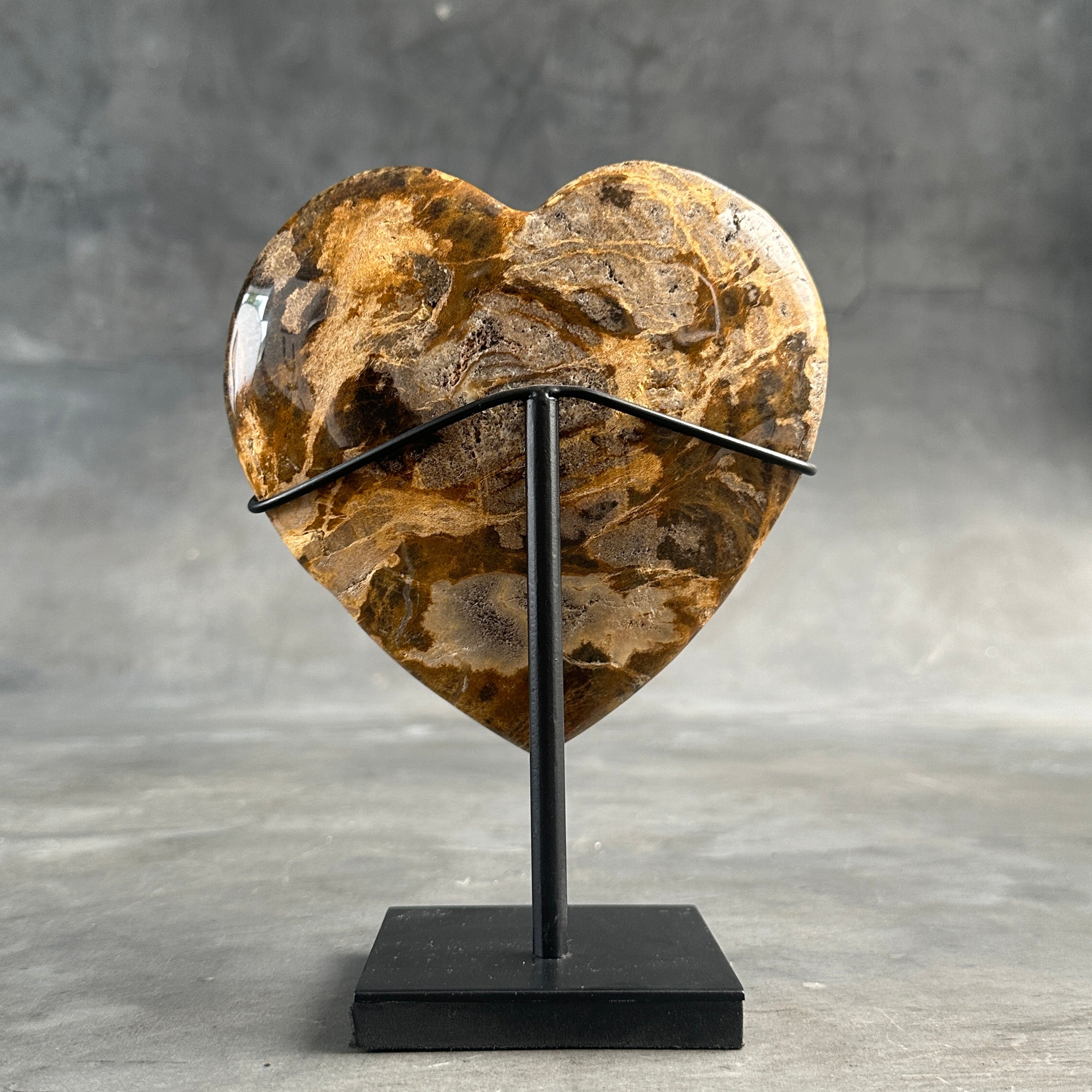 Heart Stone L Petrified wood carving E2/225