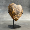 Heart Stone L Petrified wood carving E2/225