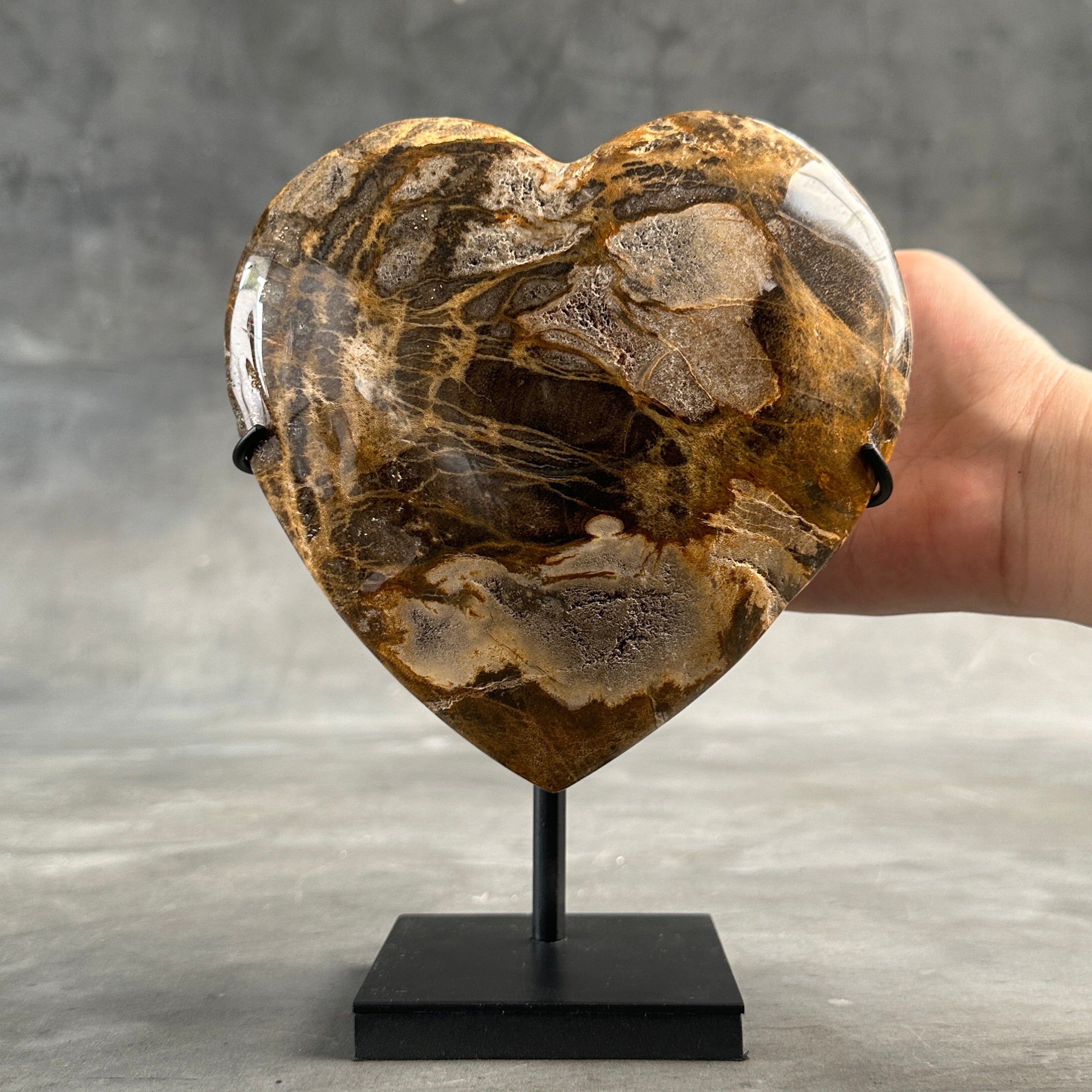 Heart Stone L Petrified wood carving E2/225