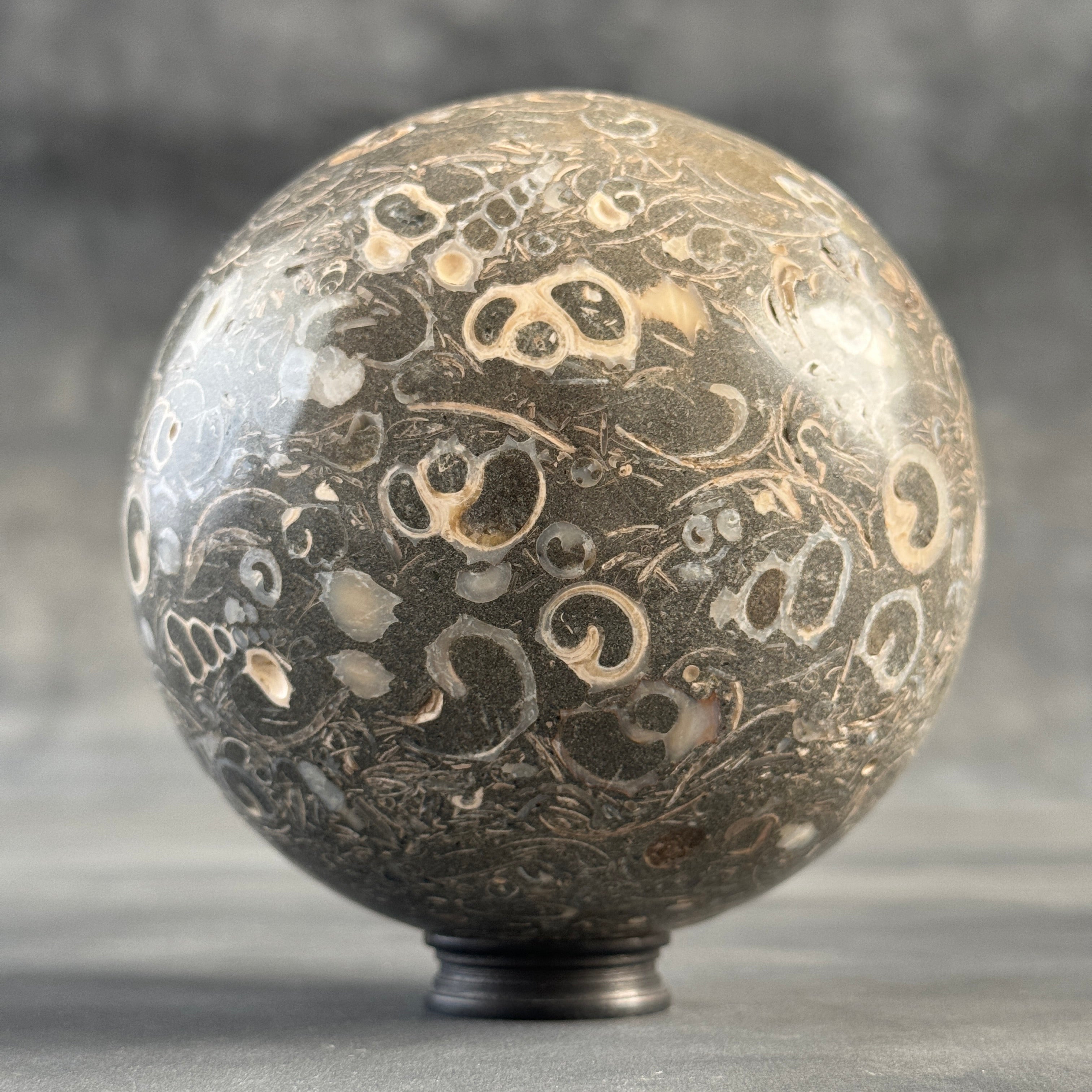 Sphere Stone Turtitella - Min,A/007