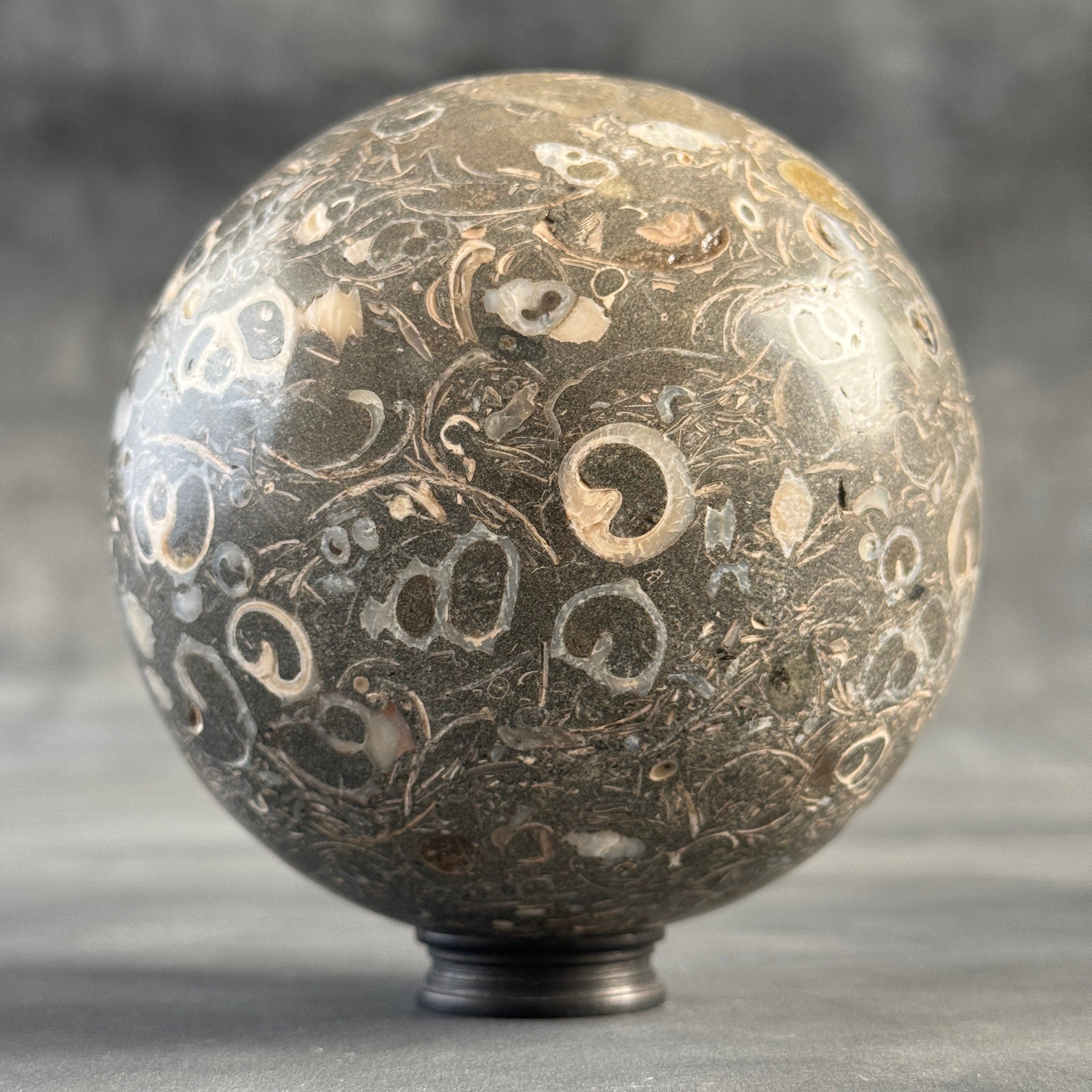 Sphere Stone Turtitella - Min,A/007