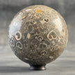 Sphere Stone Turtitella - Min,A/007