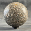 Sphere Stone Turtitella - Min,A/007