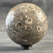 Sphere Stone Turtitella - Min,A/007