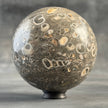 Sphere Stone Turtitella - Min,A/007