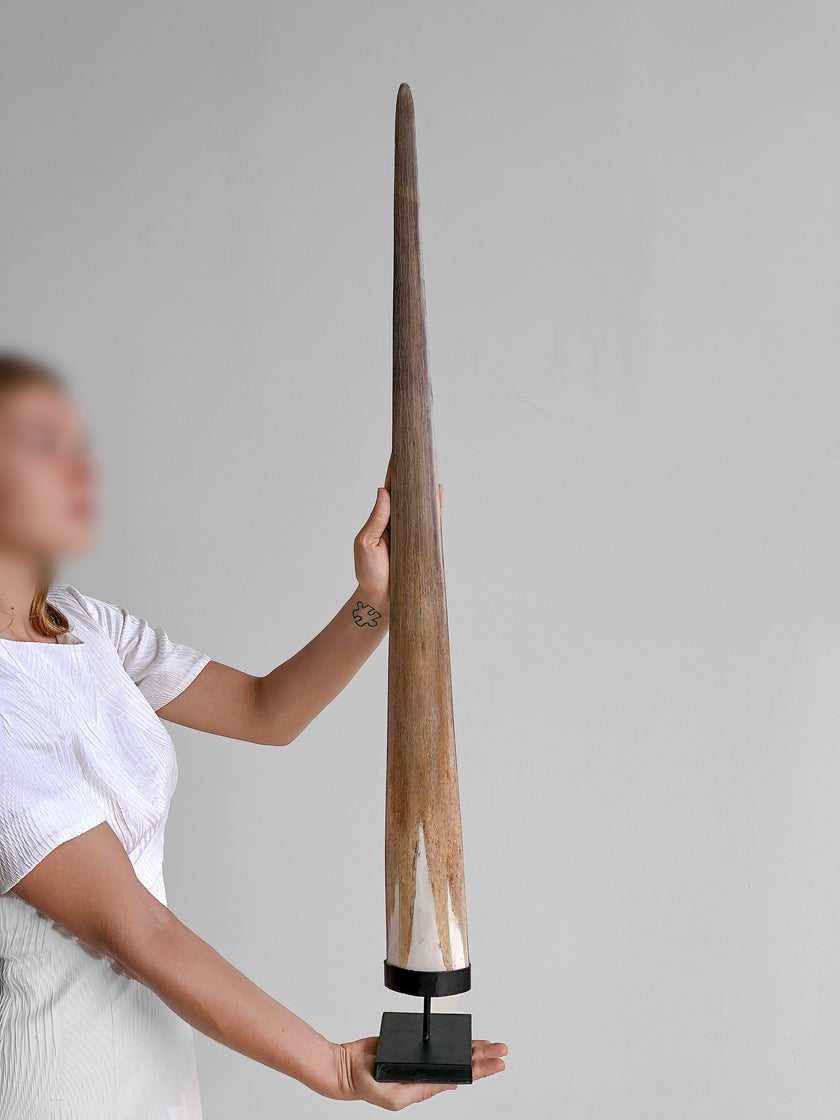 Maori carving Tusks 21/EX/396 Carving Mangapore