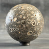 Sphere Stone Turtitella - Min,A/007