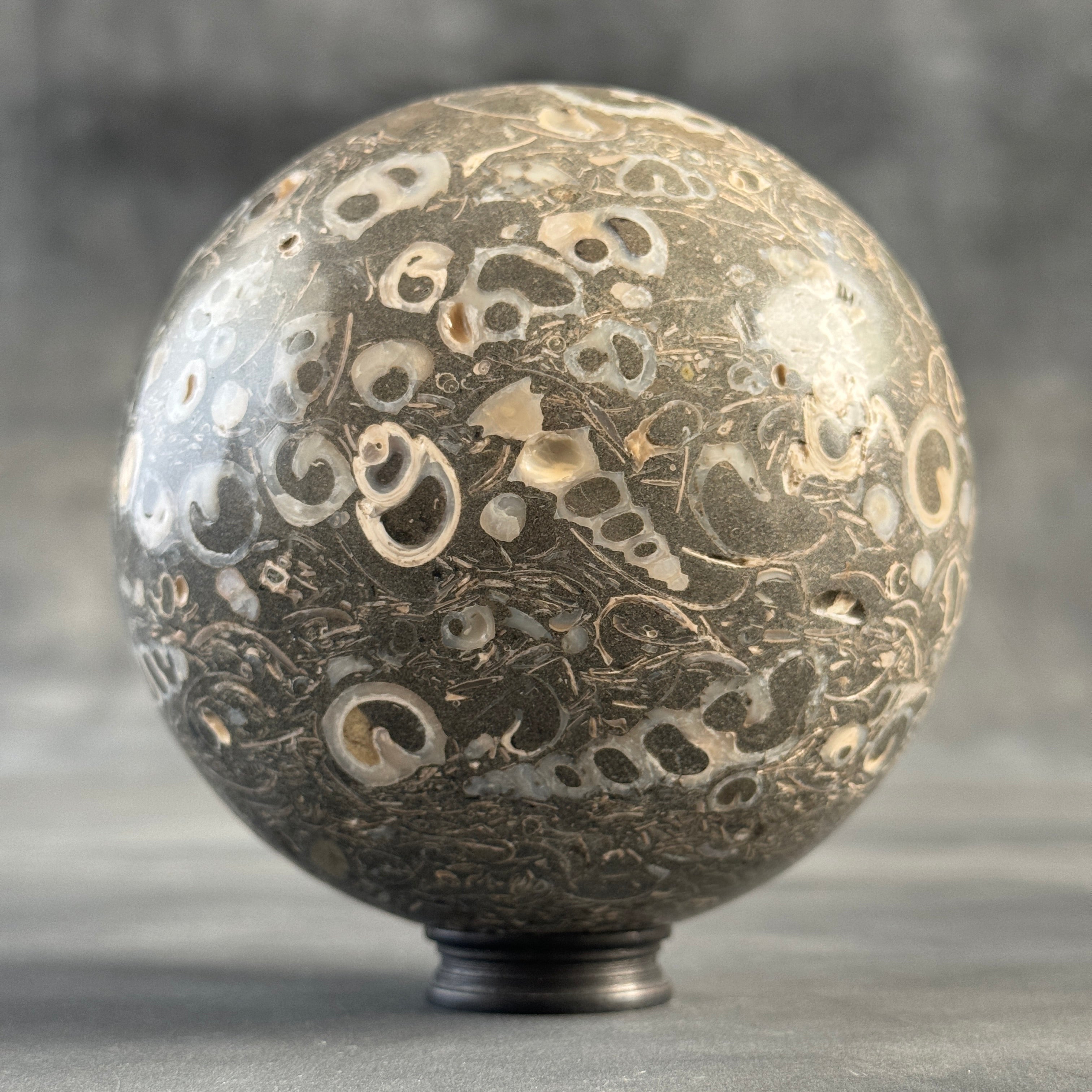 Sphere Stone Turtitella - Min,A/007