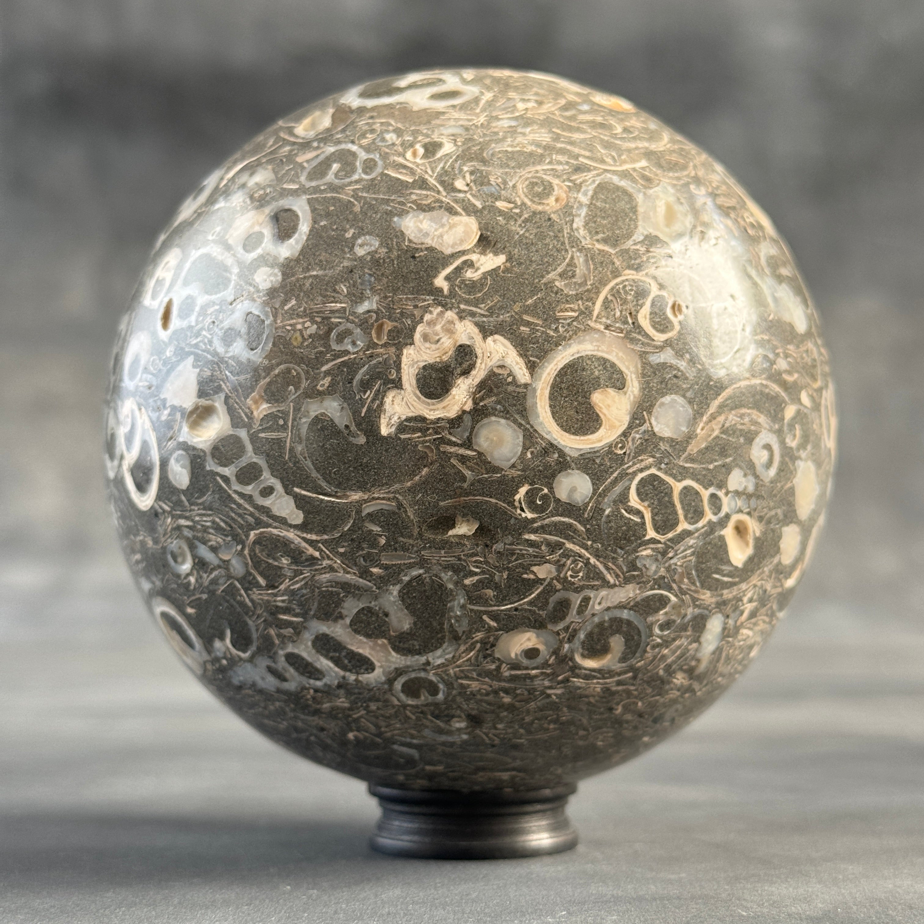 Sphere Stone Turtitella - Min,A/007