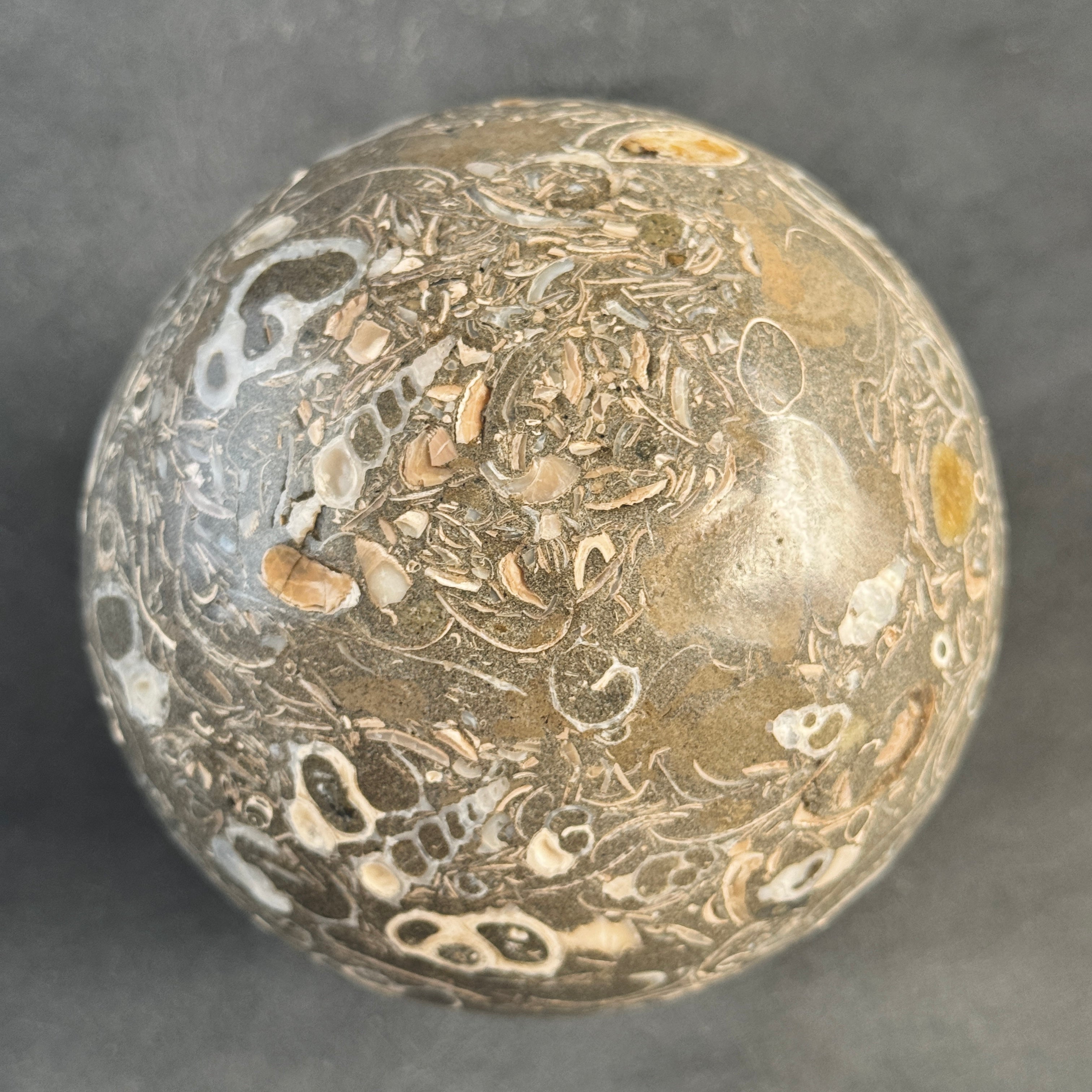 Sphere Stone Turtitella - Min,A/007