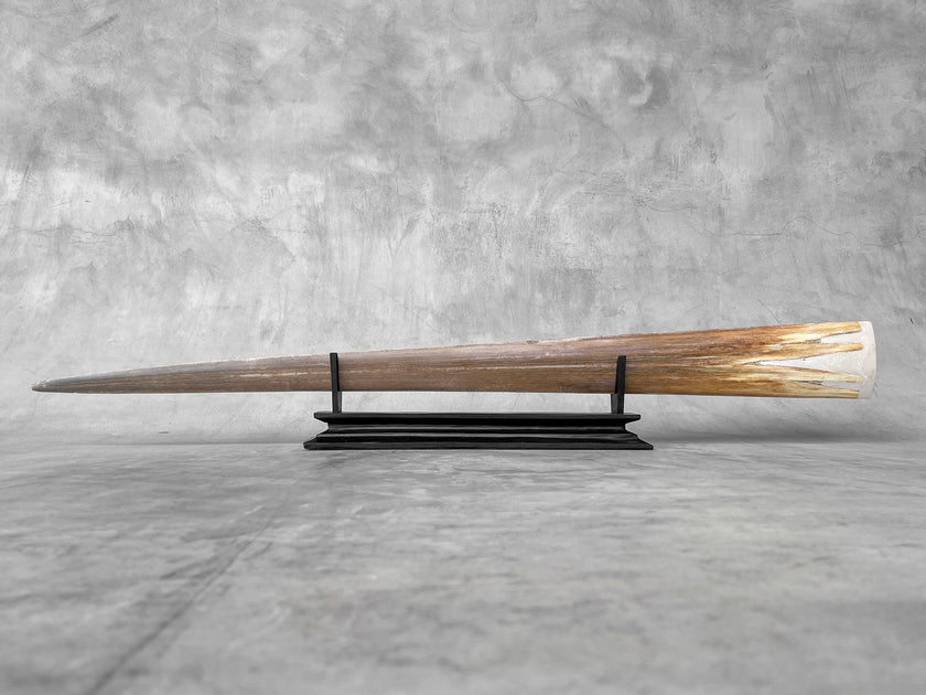 Carved Swordfish Koi carving Y1/023