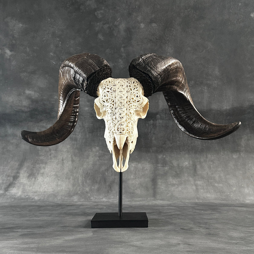 Ram’s Skull Infinity - Skull,A/065