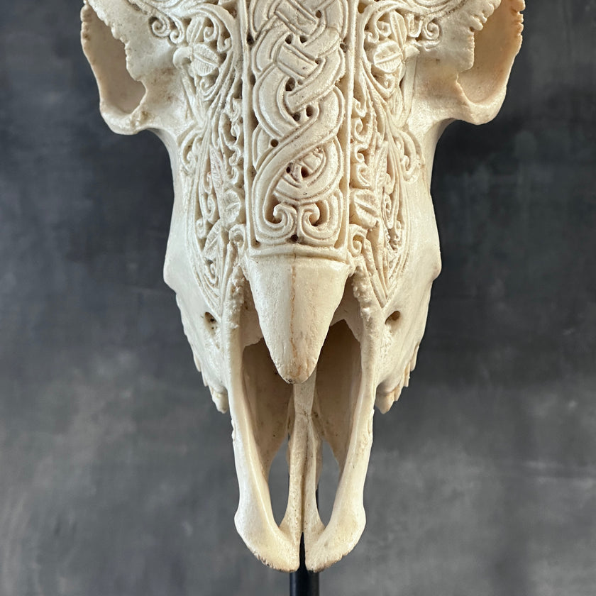 Ram’s Skull Infinity - Skull,A/065