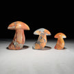 Set 3 Mushroom Maligano red-U2/459