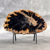 Beautiful Slice of Petrified Wood on stand - L5/168