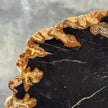 Beautiful Slice of Petrified Wood on stand - L5/168