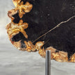 Beautiful Slice of Petrified Wood on stand - L5/168