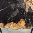 Beautiful Slice of Petrified Wood on stand - L5/168