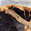 Beautiful Slice of Petrified Wood on stand - L5/168