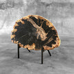 Beautiful Slice of Petrified Wood on stand - L5/168