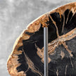 Beautiful Slice of Petrified Wood on stand - L5/168