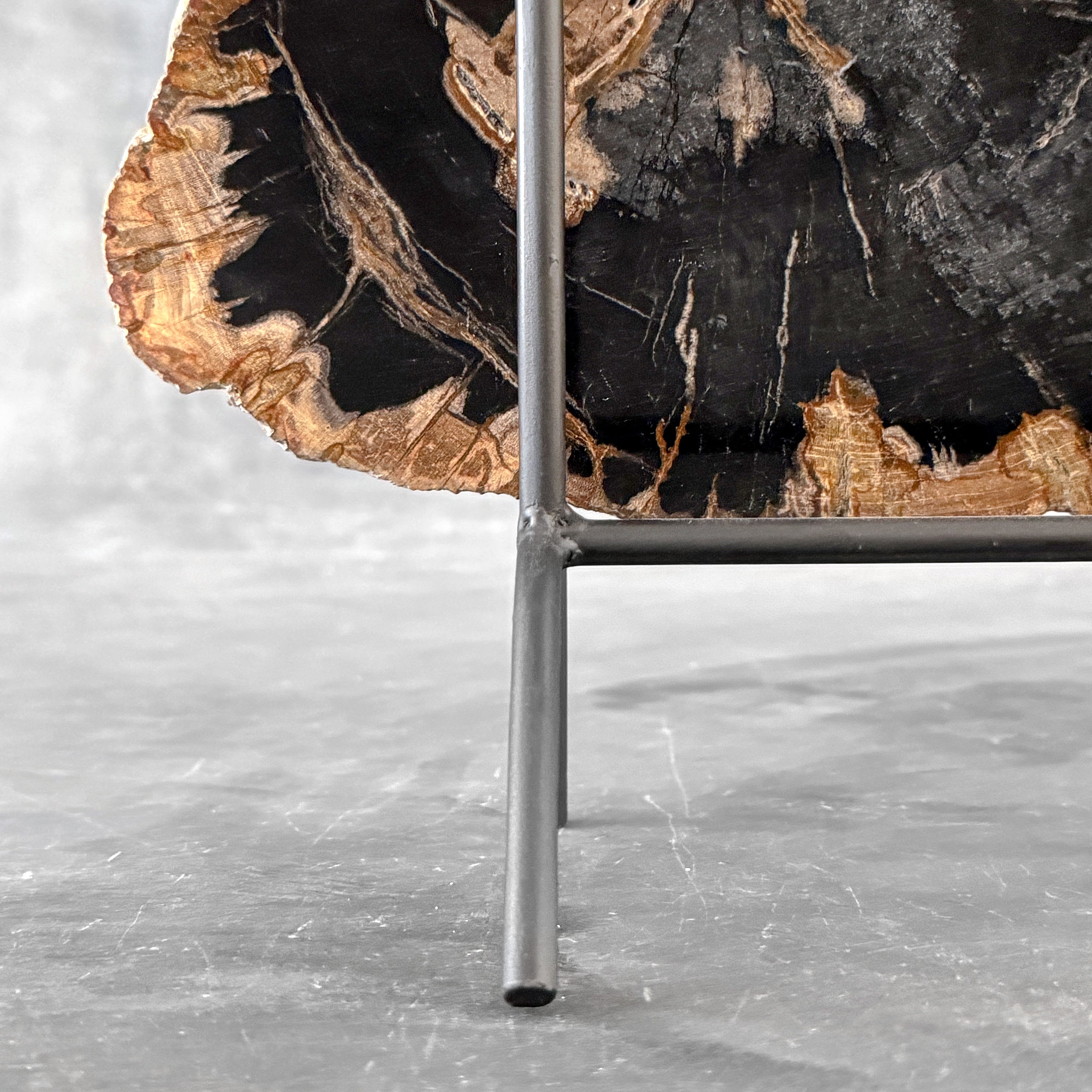 Beautiful Slice of Petrified Wood on stand - L5/168