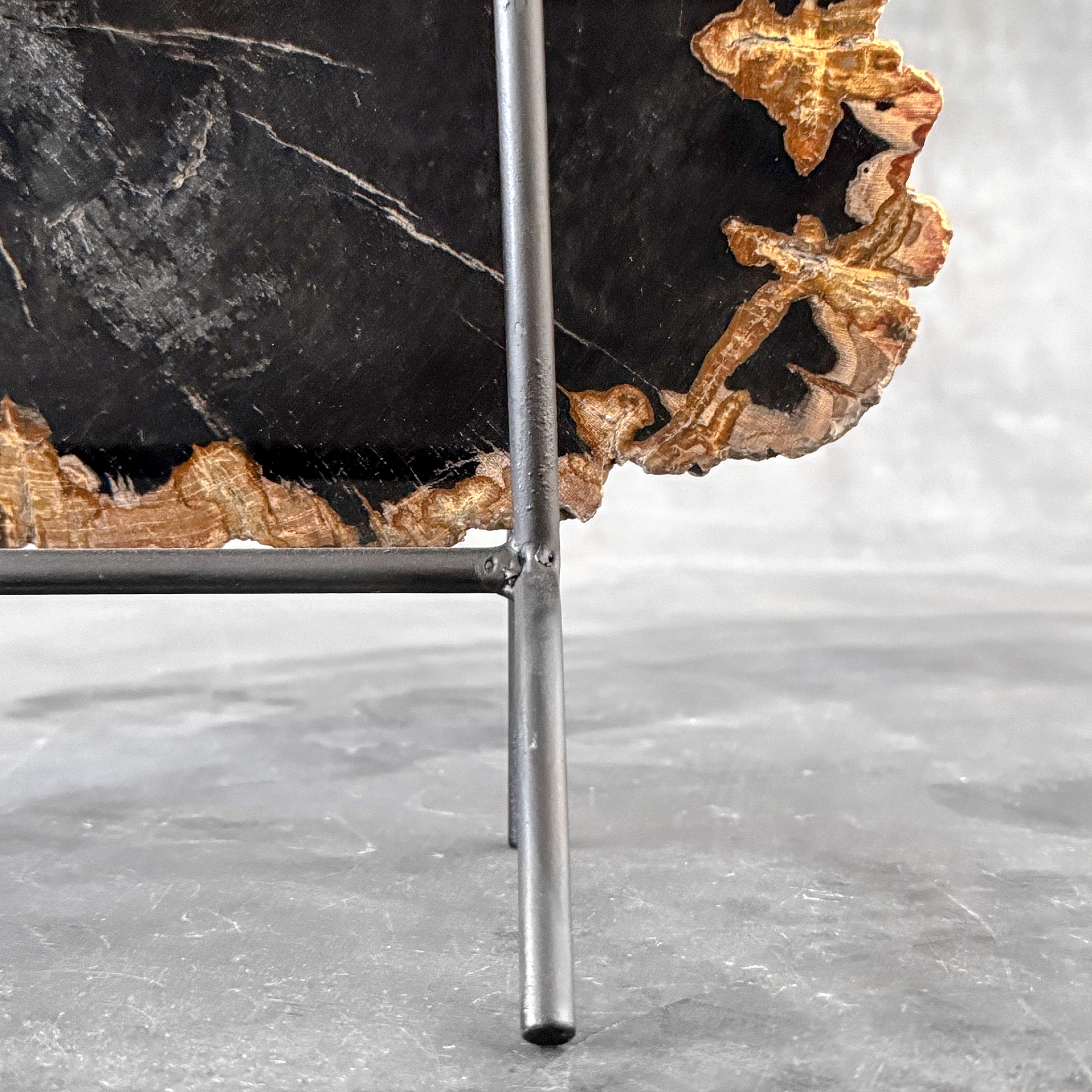 Beautiful Slice of Petrified Wood on stand - L5/168