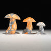 Set 3 Mushroom Maligano yellow-U2/461