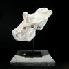 Gorrila Skull White - RS011