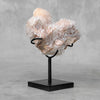 Beautiful Blush Pink Crystal cluster CC/514