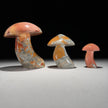 Set 3 Mushroom Maligano red-X2/473