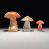 Set 3 Mushroom Maligano red-X2/473