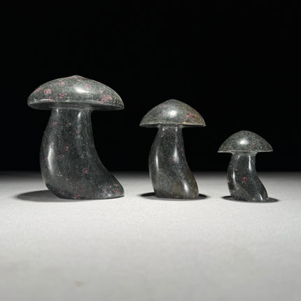 Set 3 Mushroom Ruby-Y2/480