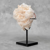 Beautiful Quartz Crystal cluster on a custom stand CC/521